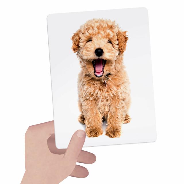Headu Flashcards Tactile Montessori