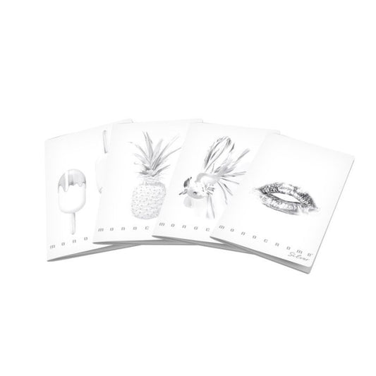 Quaderno Monocromo Silver